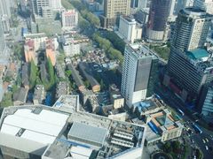 金陵饭店-南京金陵饭店