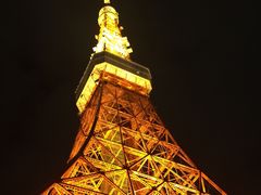-东京塔海贼王主题公园