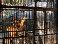 -广东茂名森林公园