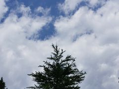 -妙峰山风景名胜区