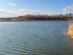 -大兴滨河森林公园