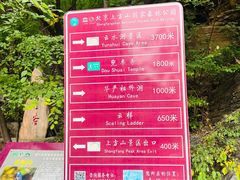 -北京上方山国家森林公园