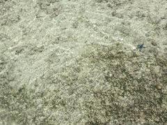 -邦邦岛
