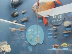 -国家自然博物馆