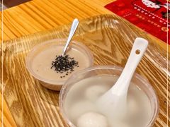 -海丝金凤(金鱼店)