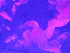 -波塞冬旅游度假区