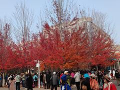 -辽宁大学(崇山校区)