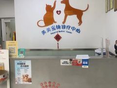 -美美宠物诊疗中心·异宠·骨科(滨江东信分院)