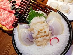 贵妃贝-东海怡品海鲜豆捞(星街坊店)