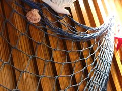 -千岛蚝高压锅生蚝·人参火锅(白云万达店)