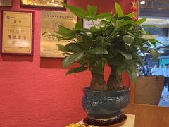 -围龙屋客家食府(福田店)