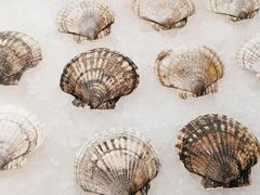 -蚝老板海鲜烧烤大排档(码头店)