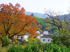 -塔川景区