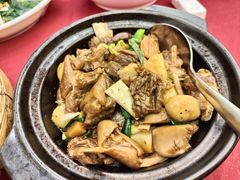 -云顶山庄·粤菜·农家菜(共和店)