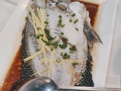 -精致顺德菜(琶洲店)
