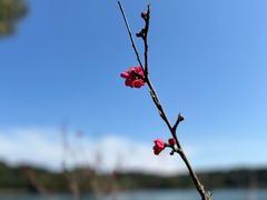 -仙海旅游度假区
