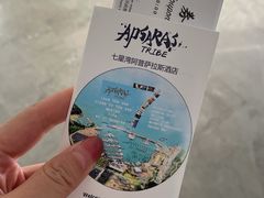 -深圳阿普萨拉斯酒店