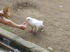 -音乐台