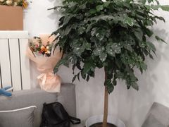 -鲸励母婴月嫂(望京店)