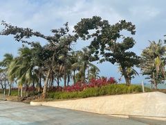 -西秀海滩公园