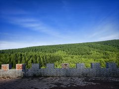 -御道口草原森林风景区