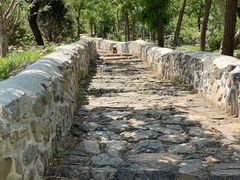 -阳台山自然风景区