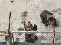 -青藏高原野生动物园
