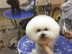 -PETKIT小佩宠物(古北店)