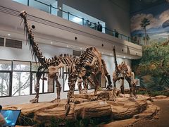 -自贡恐龙博物馆