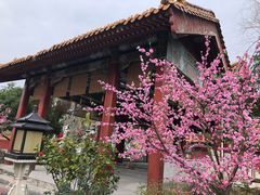 -横店影视城明清宫苑园区