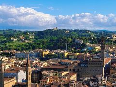 -圣母百花大教堂穹顶