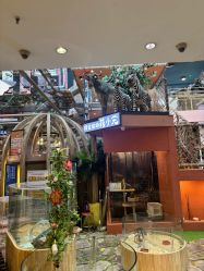 -卡通尼·Safari非洲探索乐园·生日会(金桥国际商业广场店)