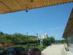 -白鹿原葡萄主题公园