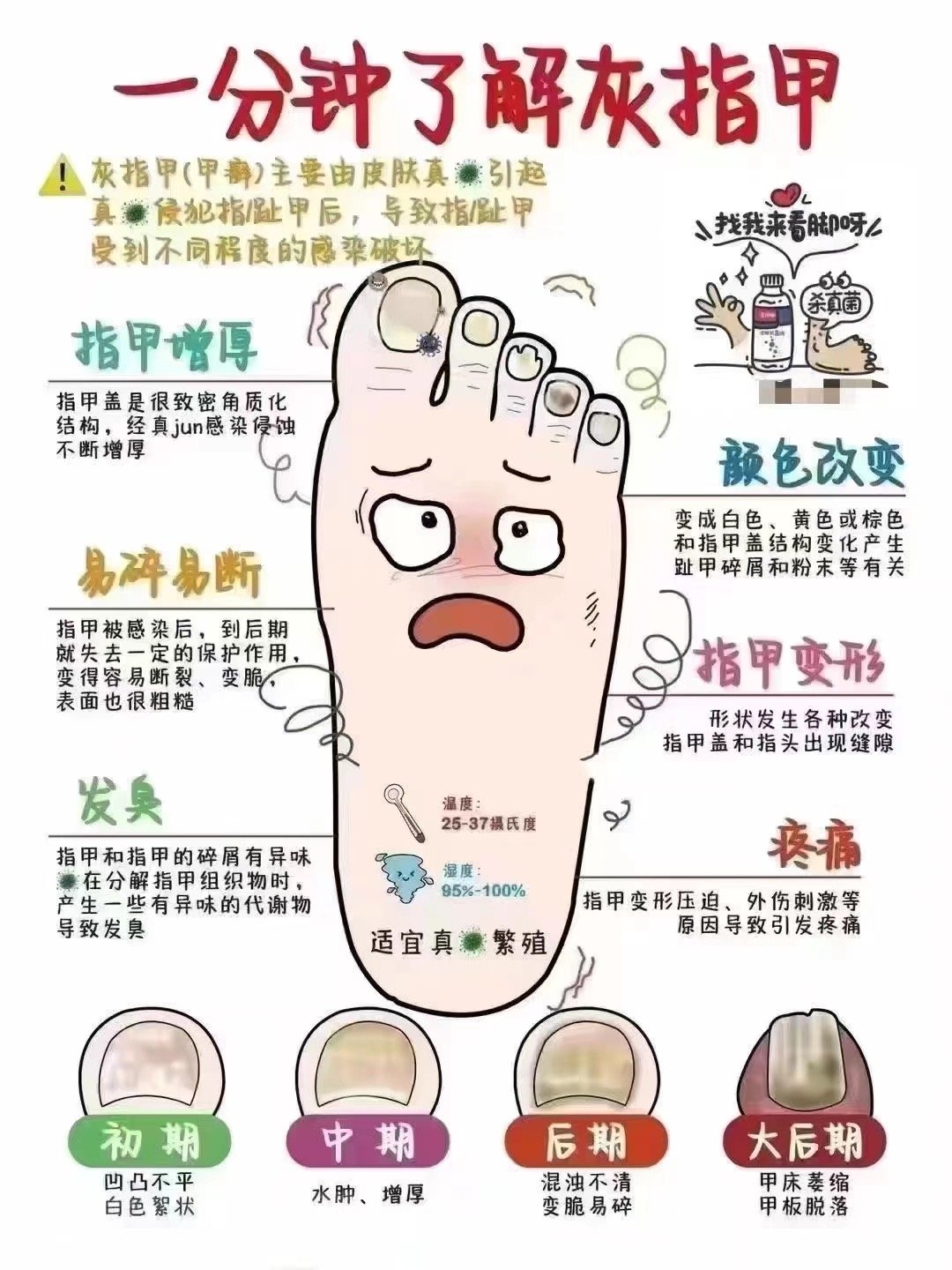 带你了解灰指甲