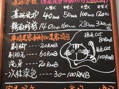 -超宠爱宠物摄影-Super pet