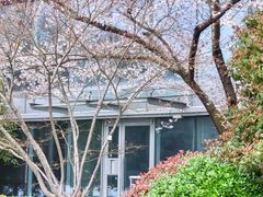 -闻泰花园酒店