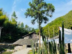 -MOJ coffee(瓯海泽雅水碓坑店)