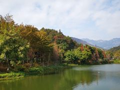 -田野绿世界