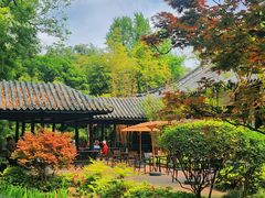 -望江楼公园