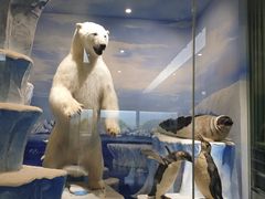 -国家自然博物馆