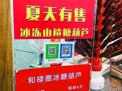 -和禄德冰糖葫芦