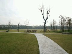 -上海长兴岛郊野公园