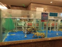 -大铁勺新津菜(迎水道店)
