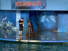 -苏州海洋馆