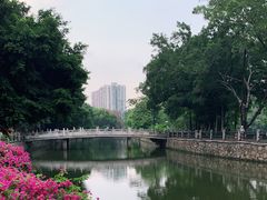 -晓港公园