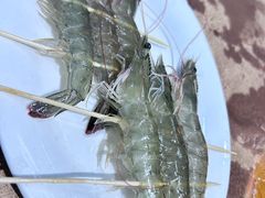 -濠轩阁特色生蚝火锅总店