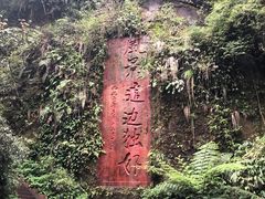 -赤水丹霞旅游区·佛光岩