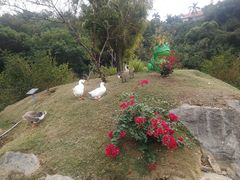 -厦门悦华酒店