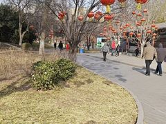 -丰台花园