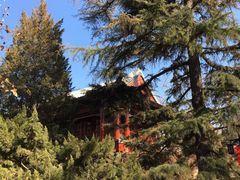 -宣武艺园